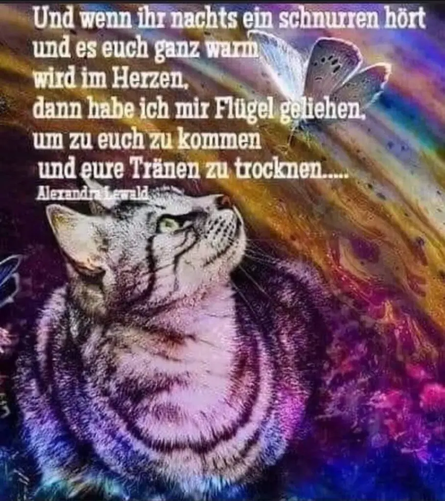 Andachtsbild von Silke mit Gila im ❤