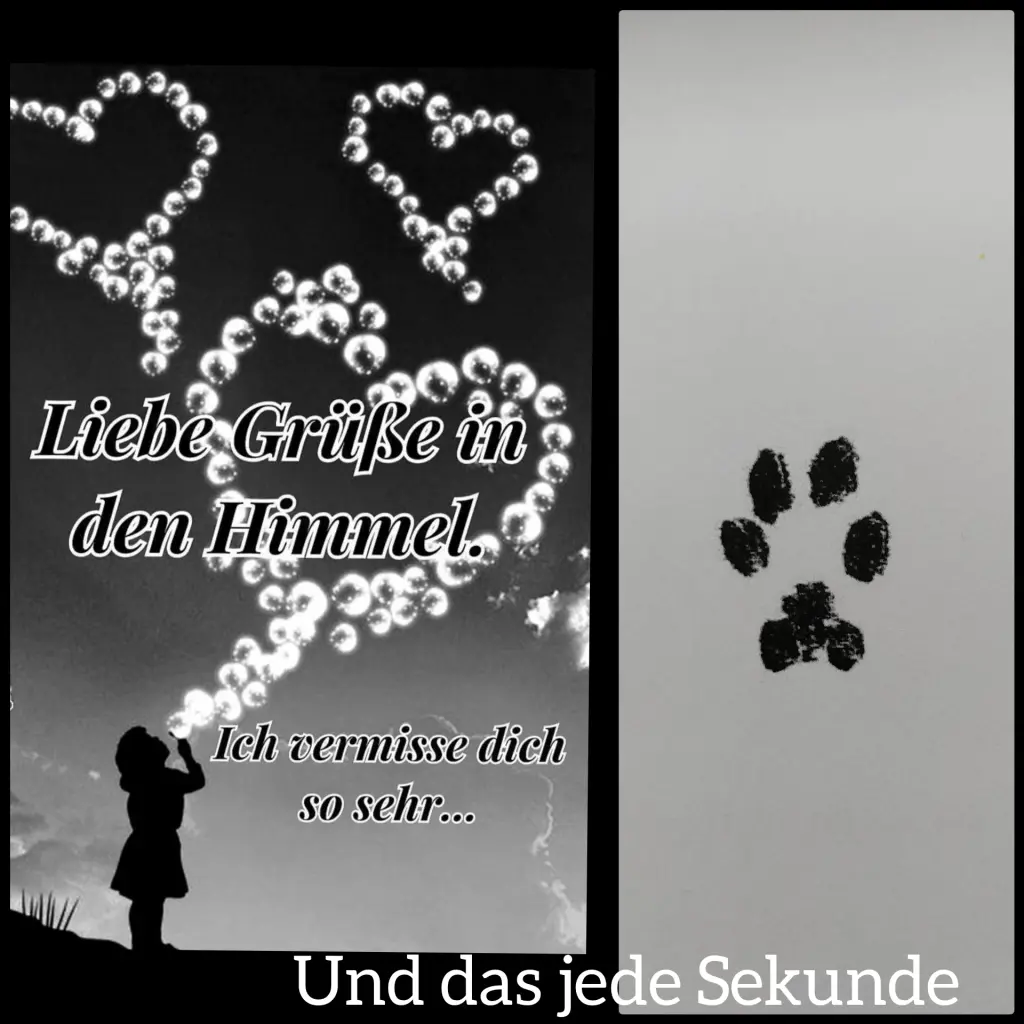 Andachtsbild von Hallo Püppi ♥️