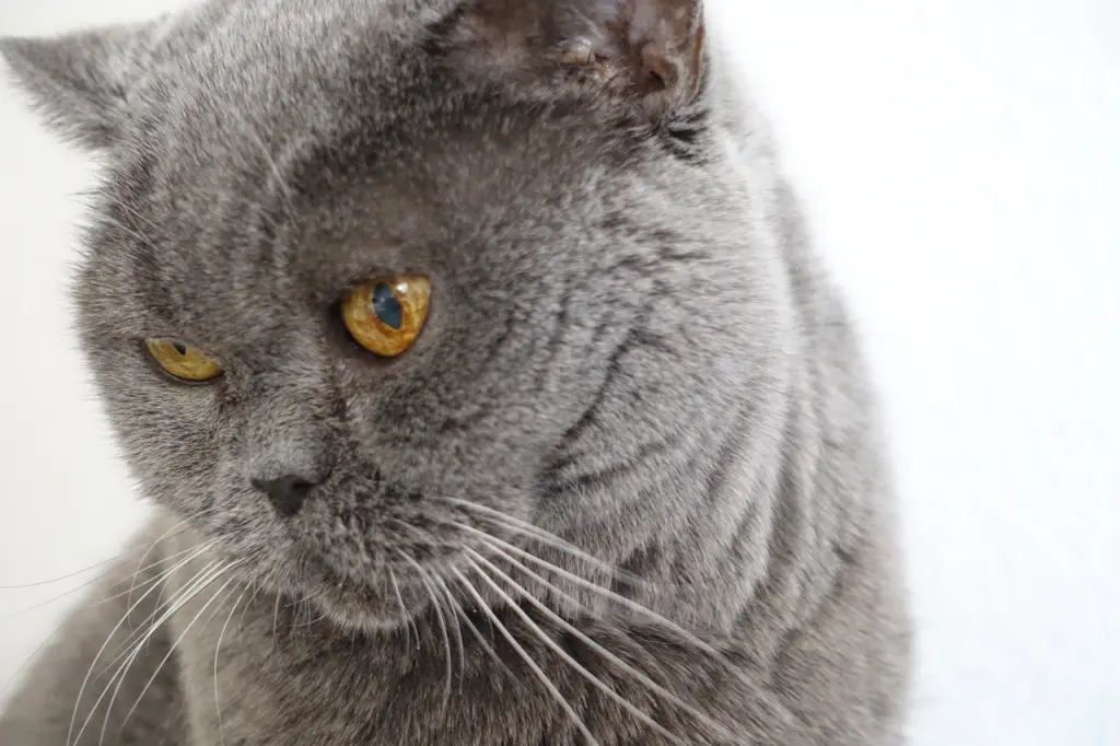 Andachtsbild von ❤️Von Herzen ❤️