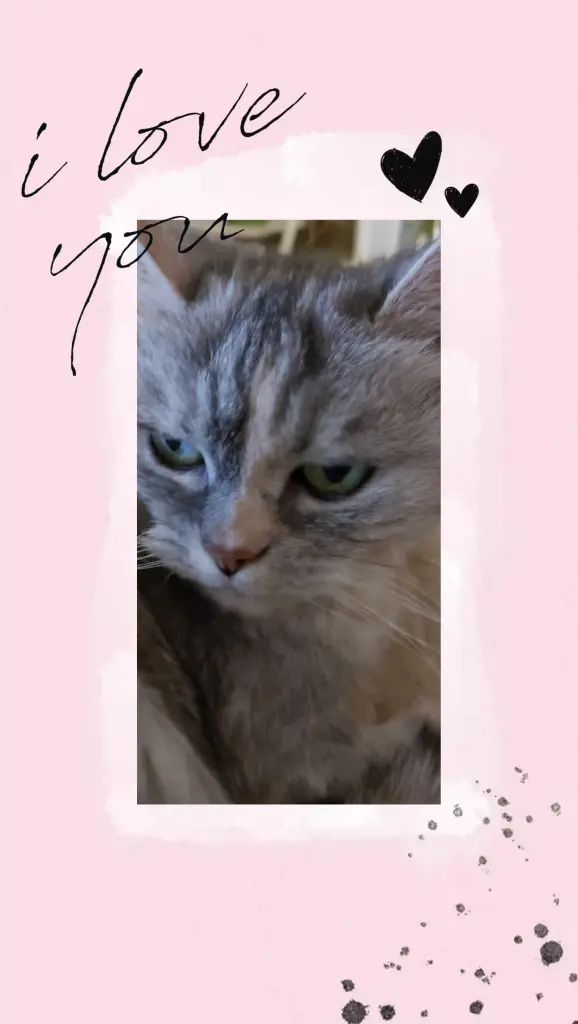 Andachtsbild von Für mein Baby ♥️