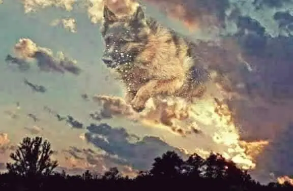 Andachtsbild von Silke mit Gila im ❤