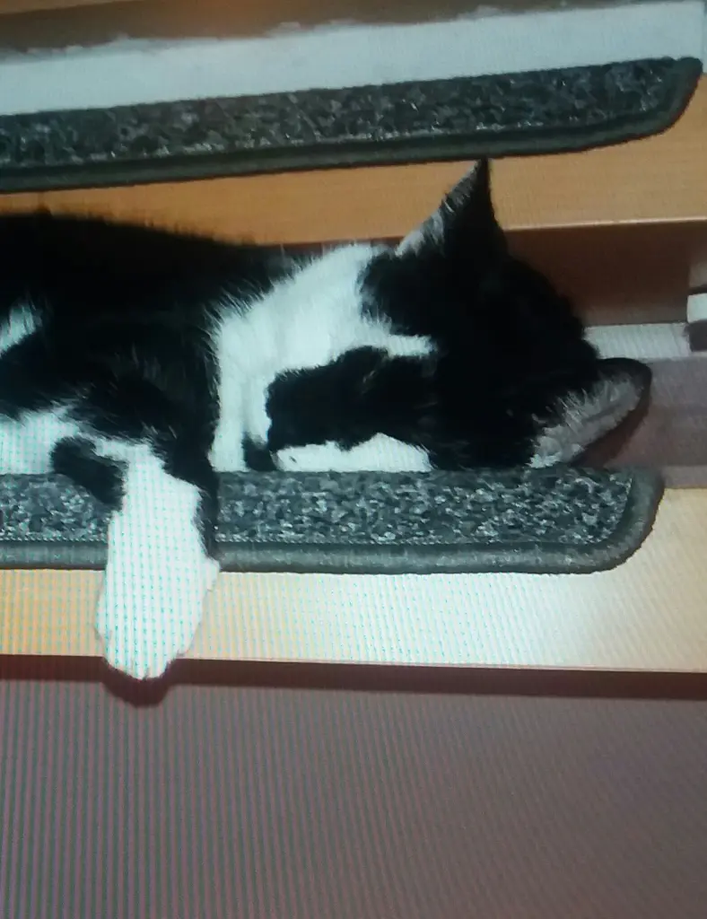 Andachtsbild von Annemarie und Elke mit Snoopy im Herzen gest.04.01.2022