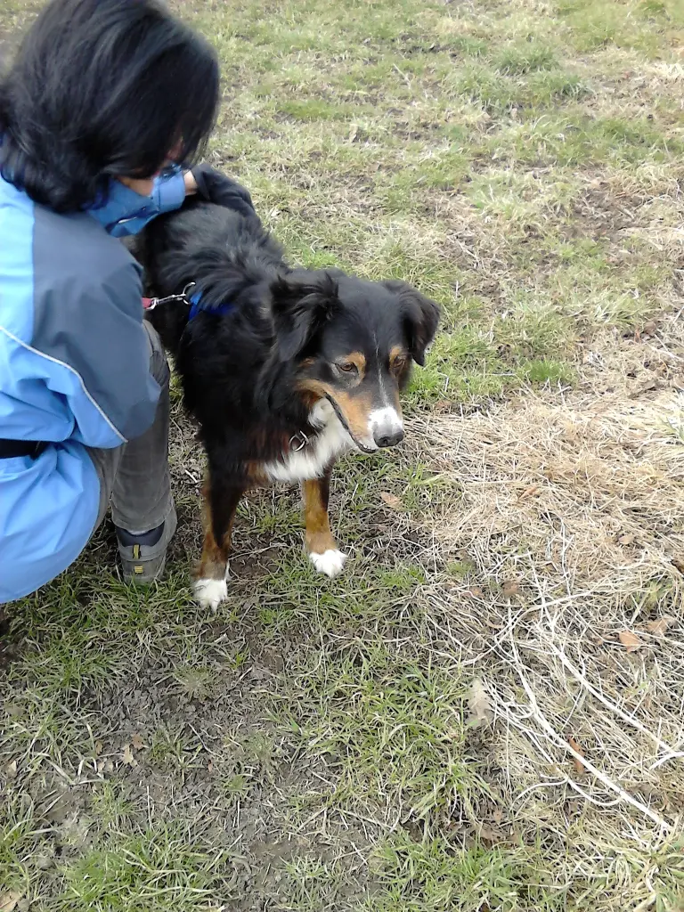 Andachtsbild von Renate mit Artax"Bubele" tief im Herzen