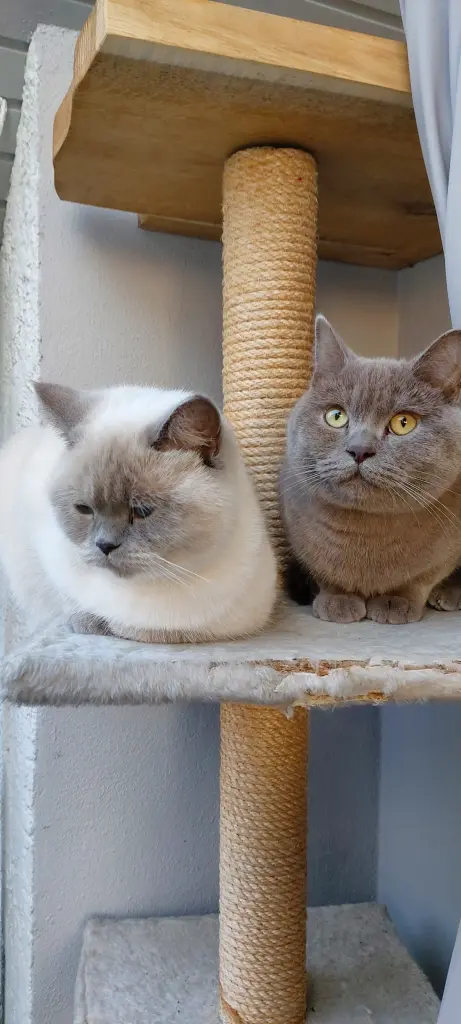 Andachtsbild von Friends on earth 