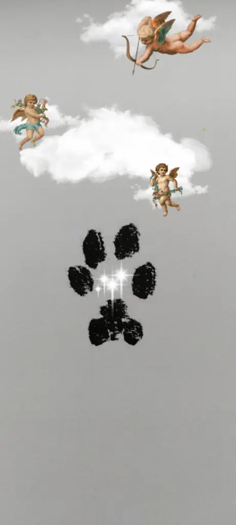 Andachtsbild von Und die Wahrheit ist 