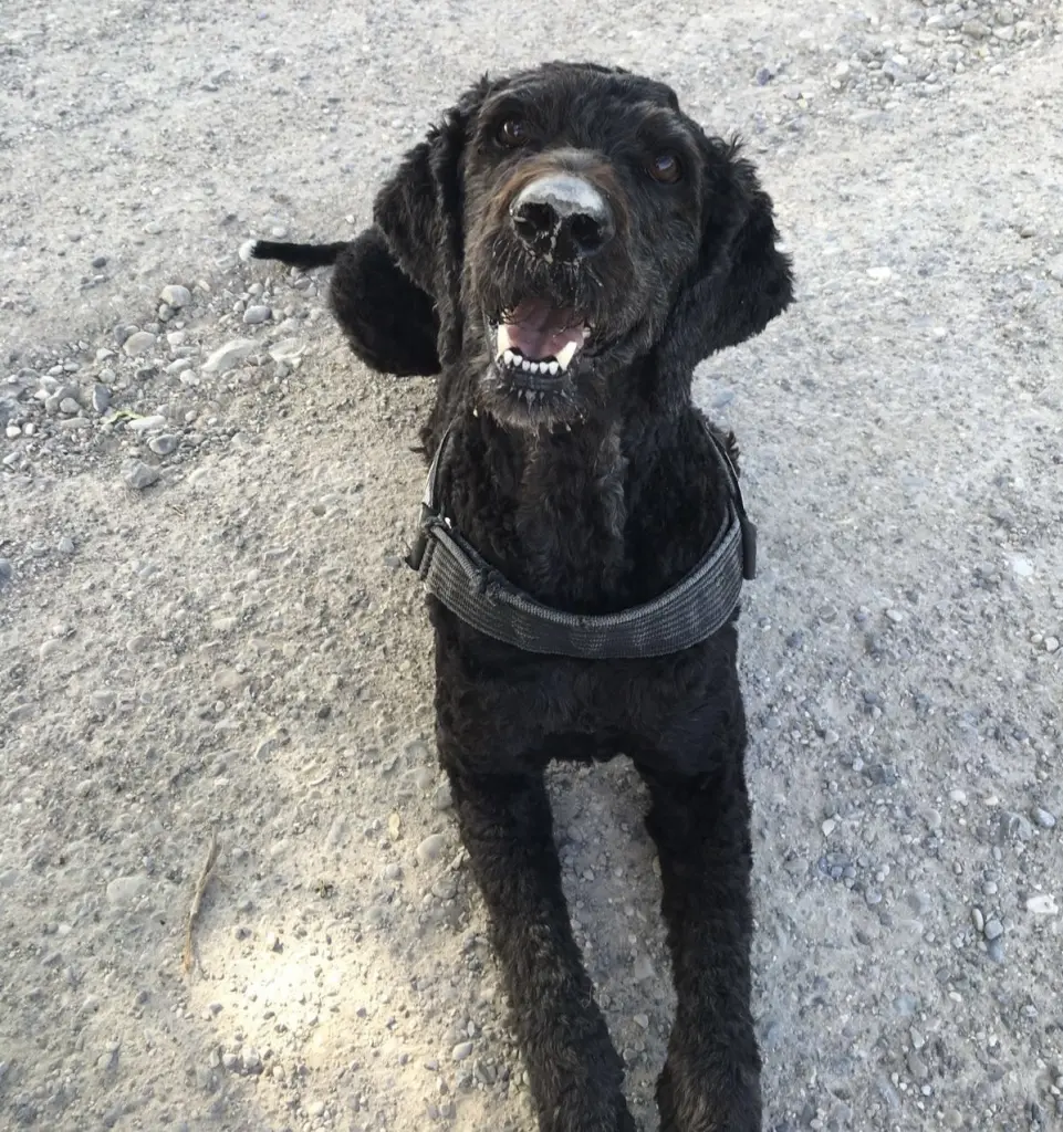 Andachtsbild von Jana und Bootsmann 