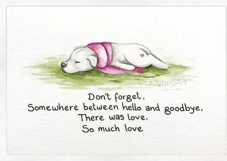 Andachtsbild von Jana