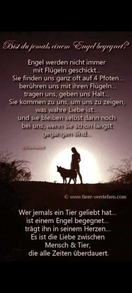 Andachtsbild von Hallo mein Baby Bär♥️