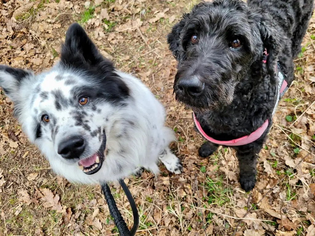 Andachtsbild von Für Mia und Bootsmann