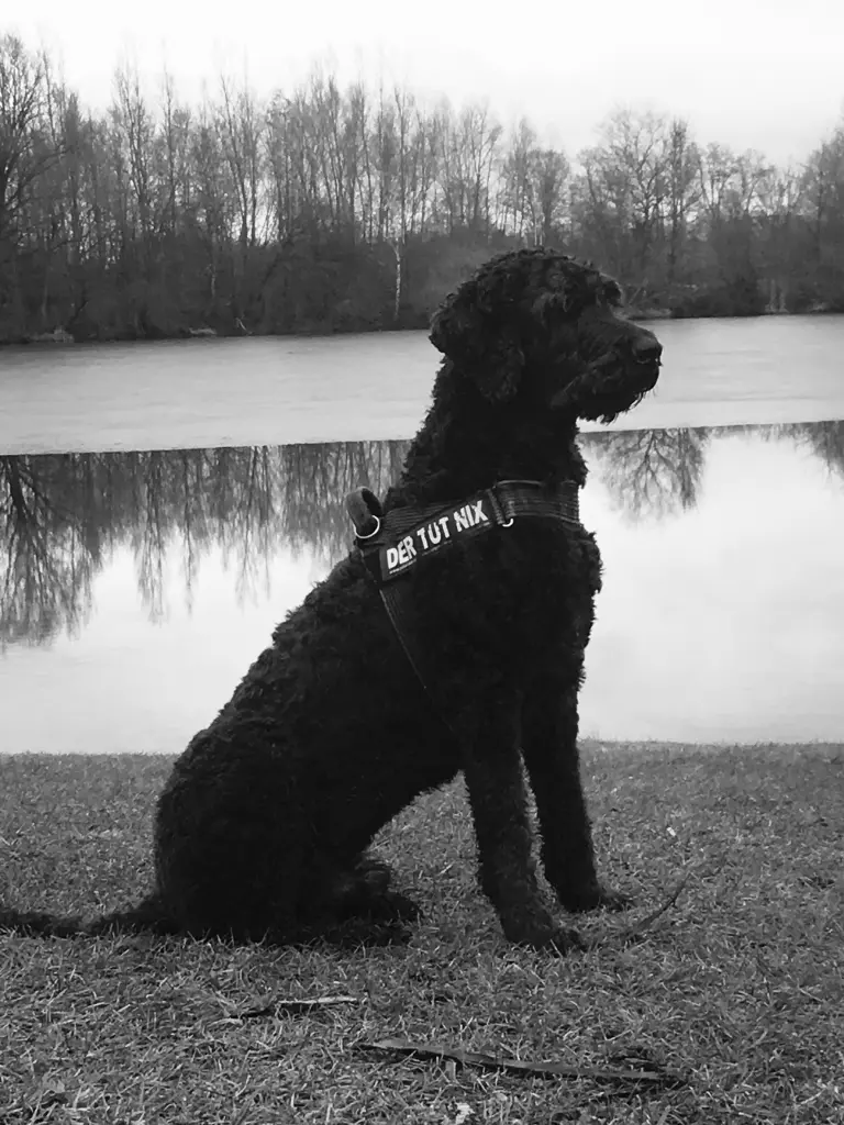 Andachtsbild von Jana