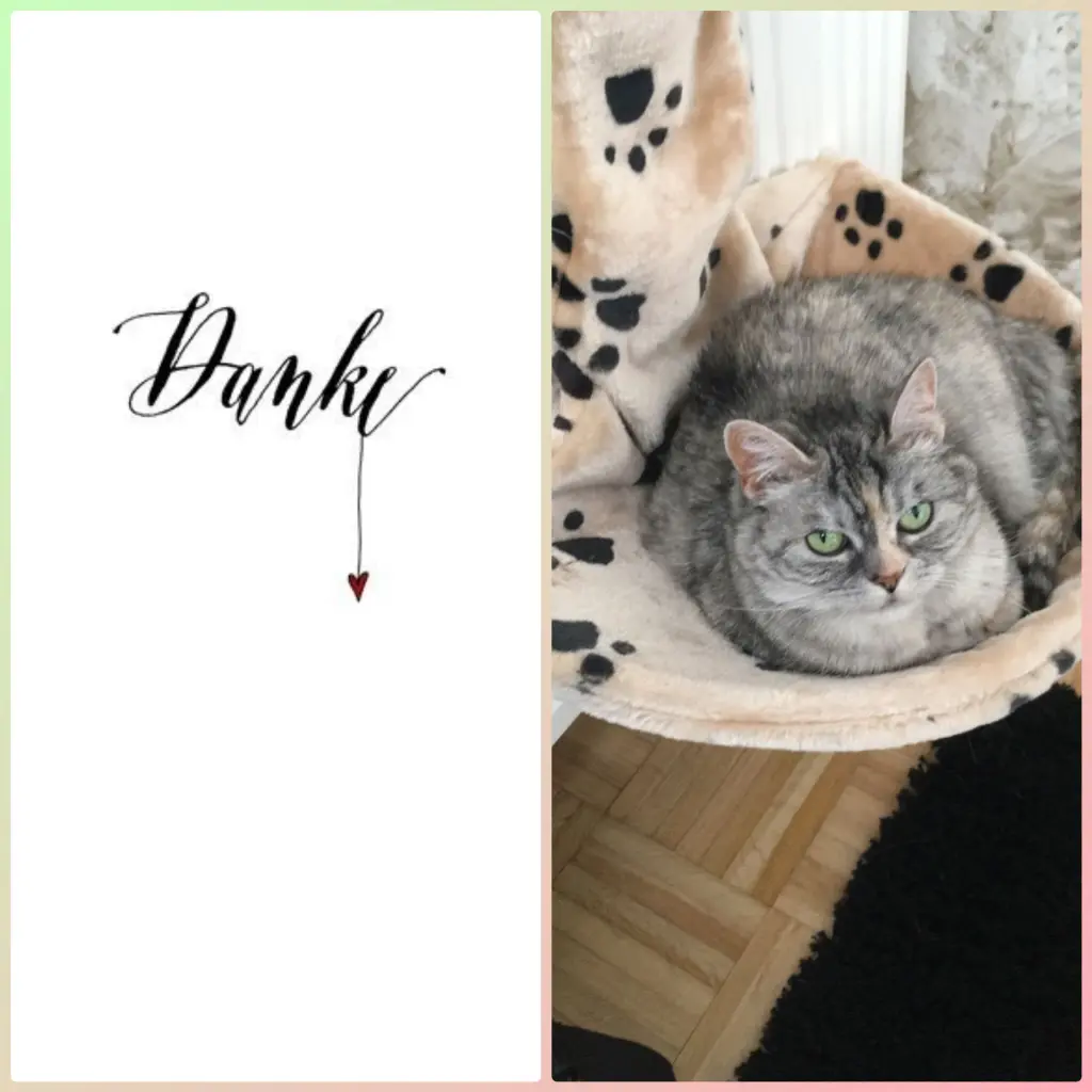 Andachtsbild von Dankbar ♥️