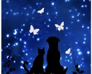 Andachtsbild von Mia und Bootsmann ♥️