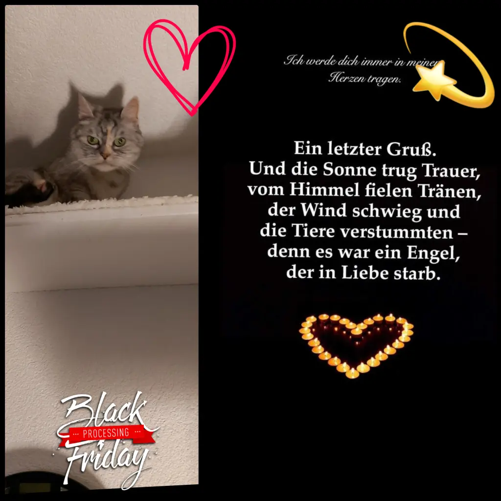 Andachtsbild von Black Friday