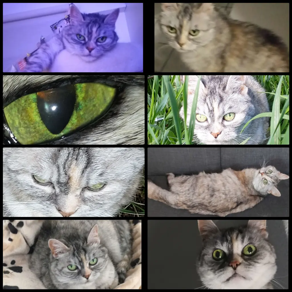 Andachtsbild von Erinnerung an Mia♥️