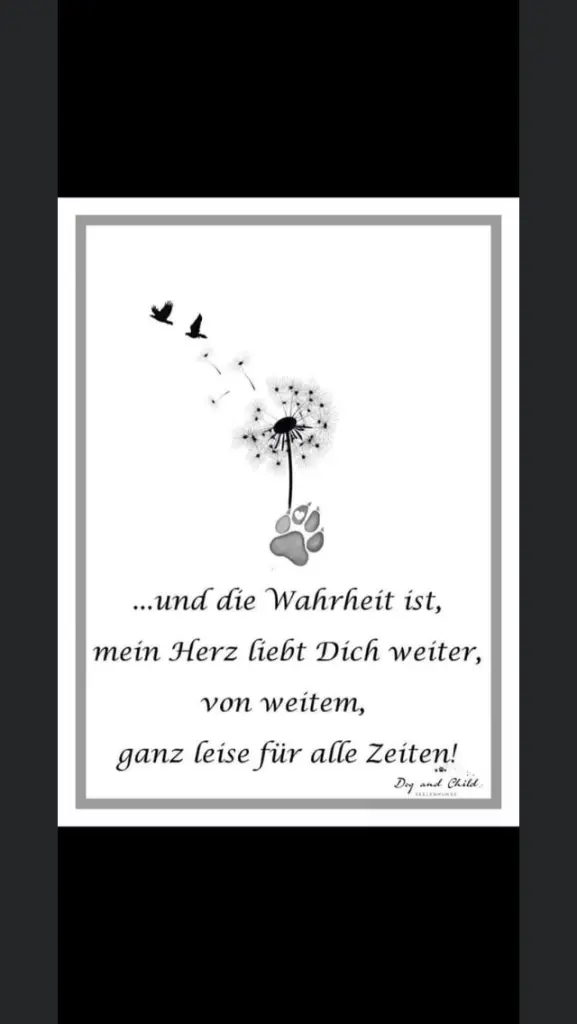 Andachtsbild von Für die Seelentiere 