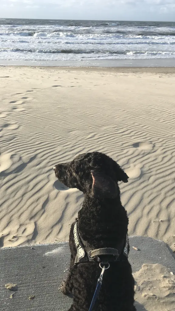 Andachtsbild von Grüße ans Meer