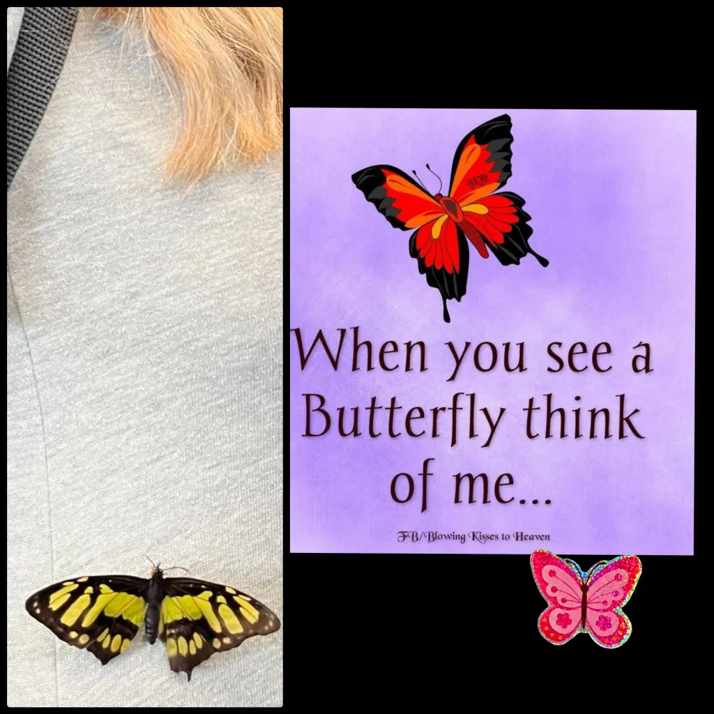 Andachtsbild von Schmetterling