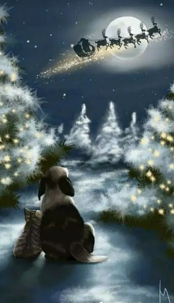 Andachtsbild von Erster Advent ♥️