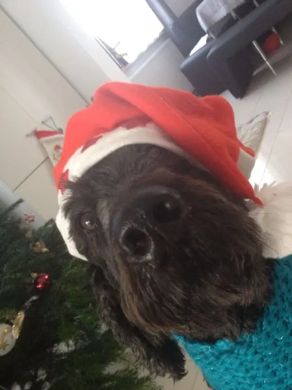 Andachtsbild von Ich denke an euch ♥️