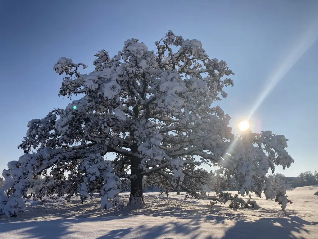 Andachtsbild von Viel liebe ???? 