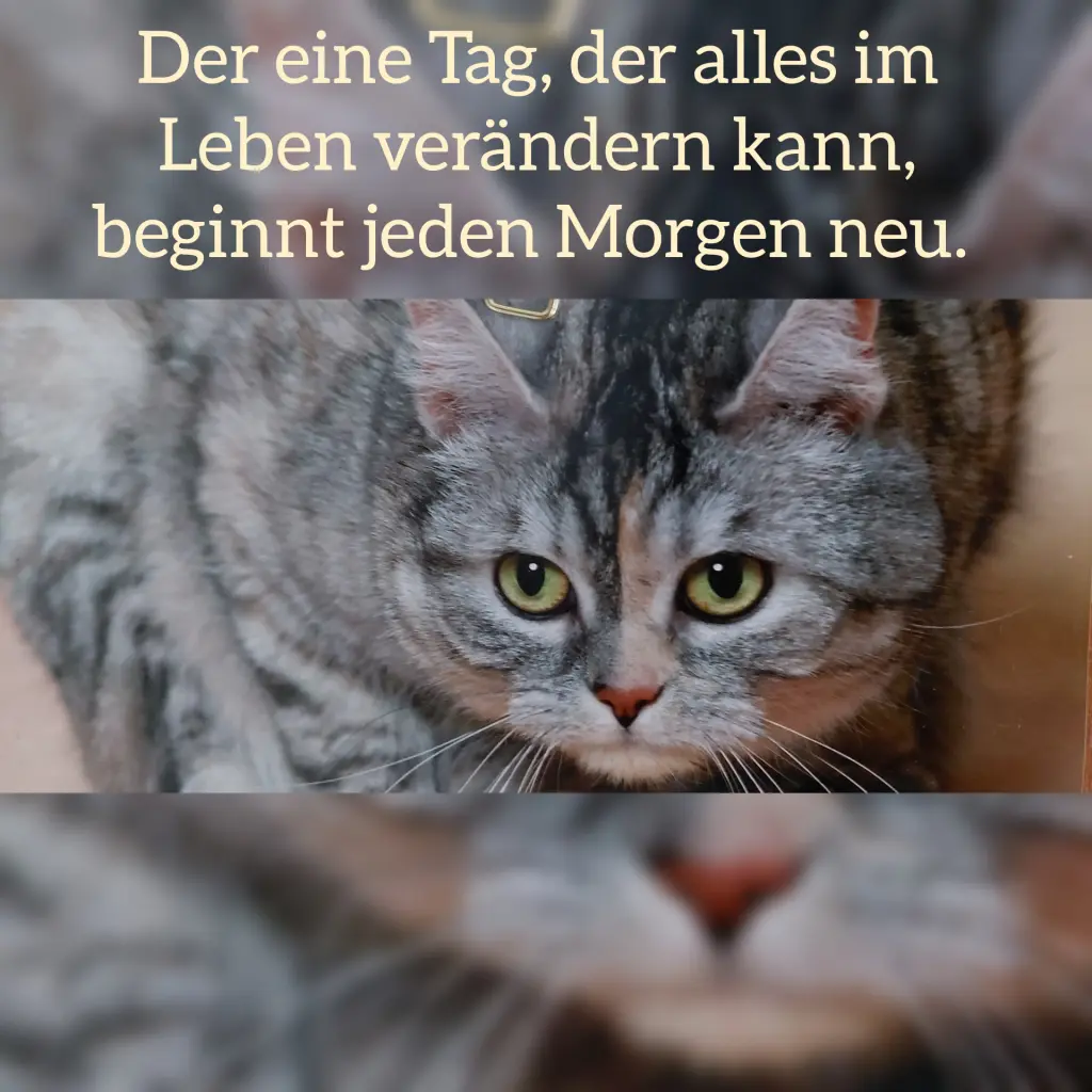 Andachtsbild von Black Friday 