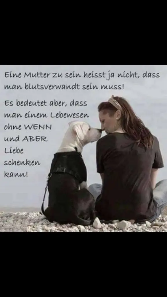 Andachtsbild von 18 Monate