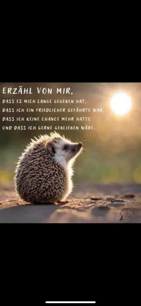 Andachtsbild von In liebe 