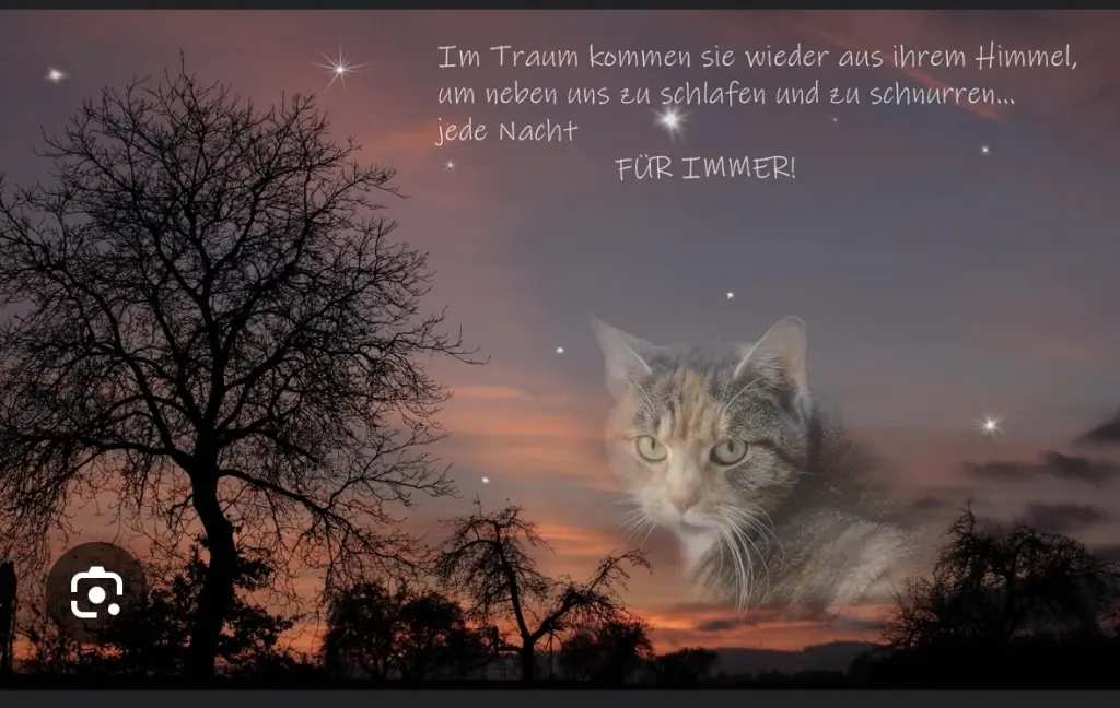 Andachtsbild von Kleiner Mia Stern 