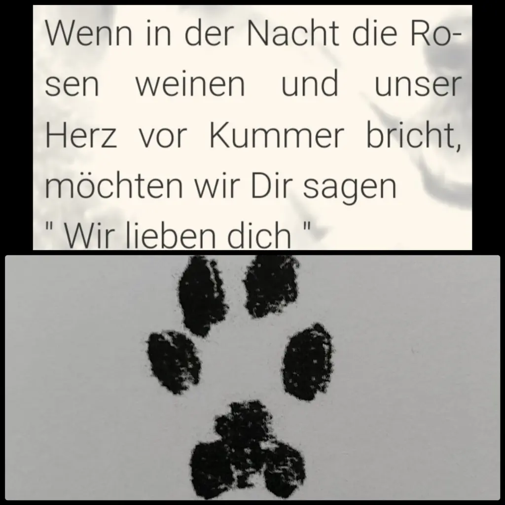 Andachtsbild von Black Friday 