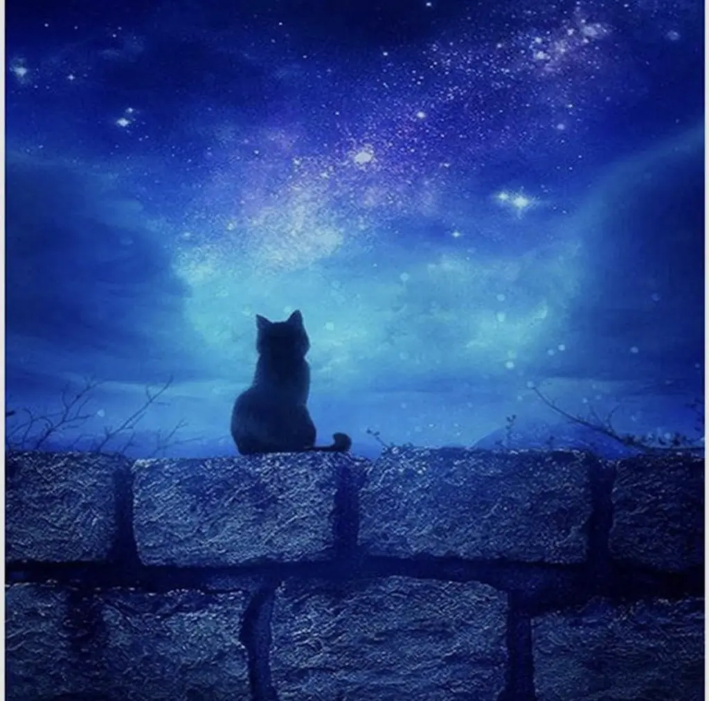 Andachtsbild von Eine Umarmung zur Nacht 