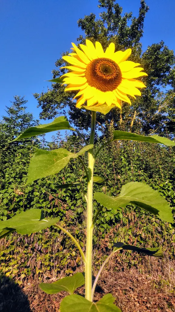 Andachtsbild von Ingrid mit Vini im Herzen