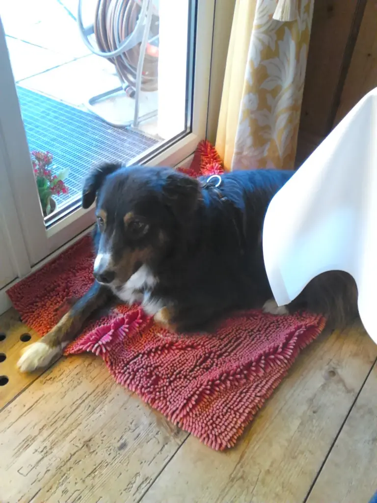 Andachtsbild von von Bubele