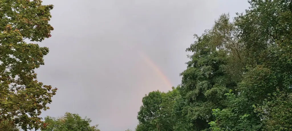 Andachtsbild von Black Friday 