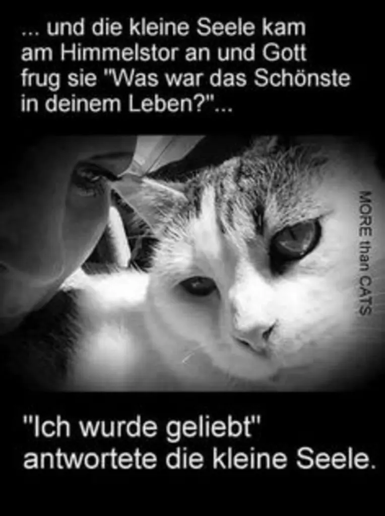 Andachtsbild von Ingrid mit Vini im Herzen