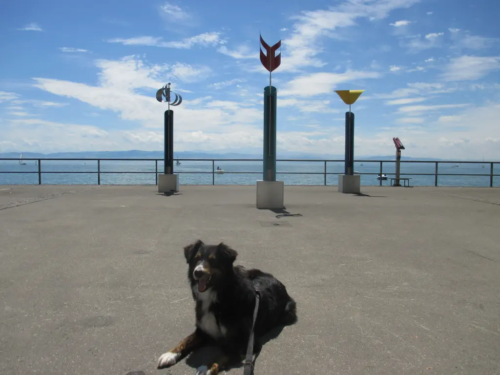 Andachtsbild von Renate mit Artax"Bubele"ganz tief im Herzen