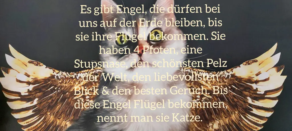 Andachtsbild von Black Friday 