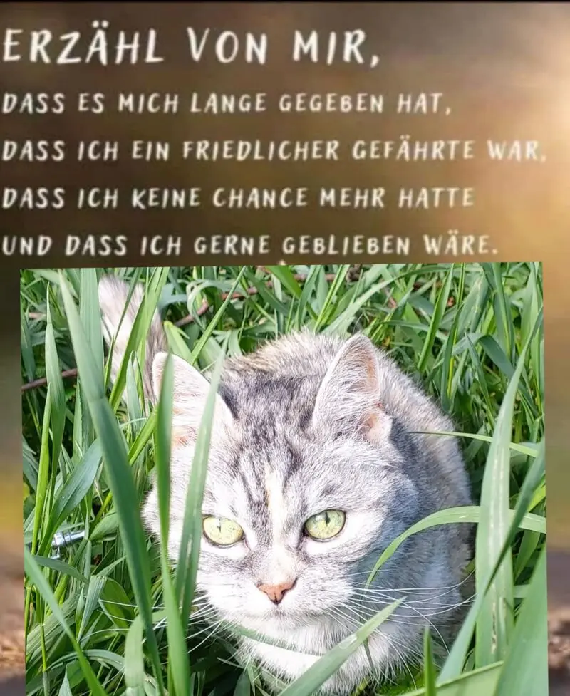 Andachtsbild von Ingrid mit Vini im Herzen