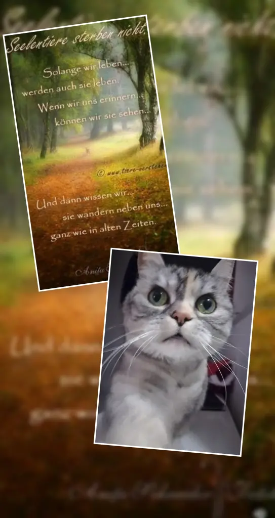 Andachtsbild von Unbekannt