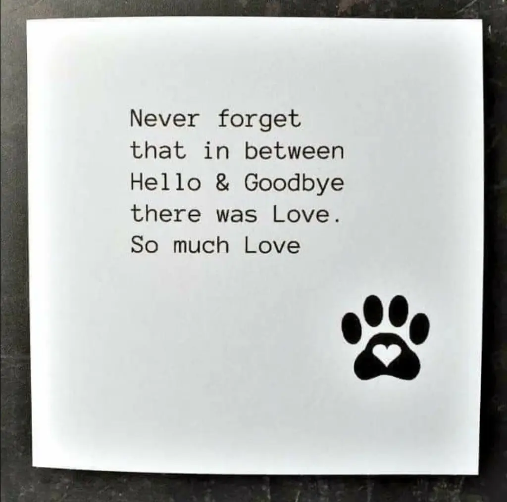 Andachtsbild von Black Friday 