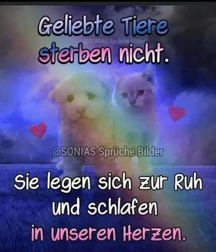 Andachtsbild von Black Friday 