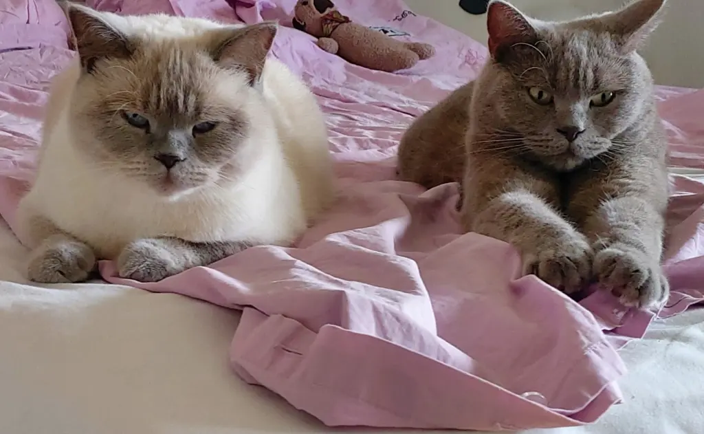 Andachtsbild von In guten Gedanken 