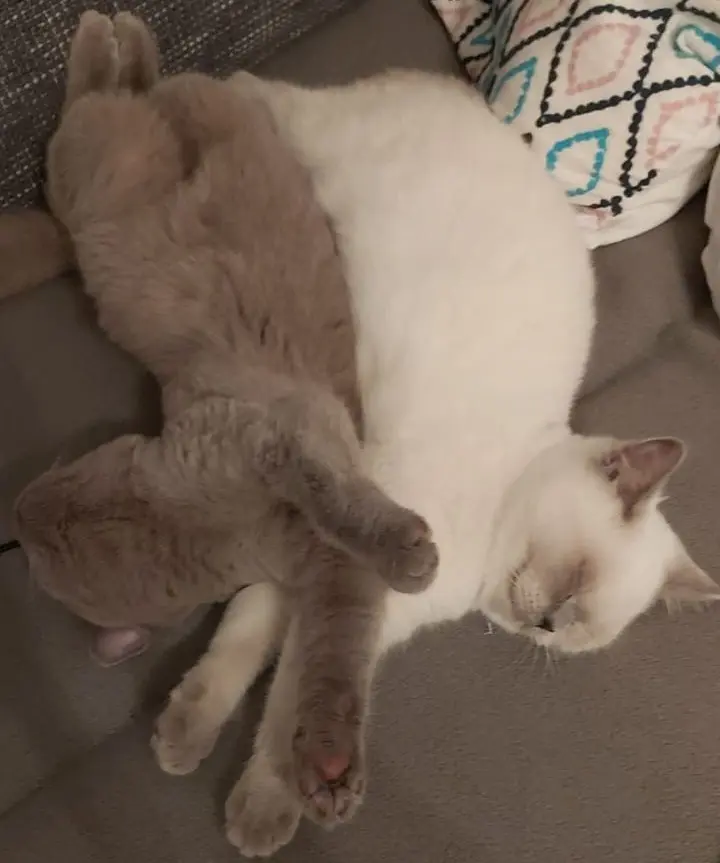 Andachtsbild von Wir lieben dich 