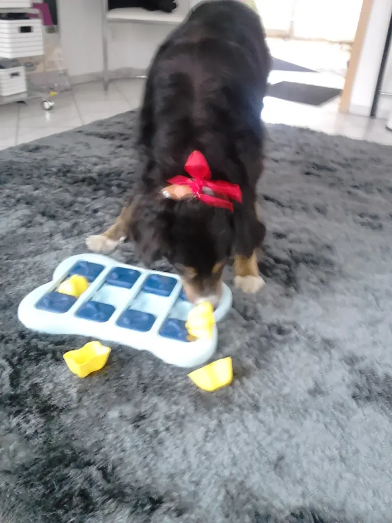 Andachtsbild von Renate mit Artax"Bubele"ganz tief im Herzen