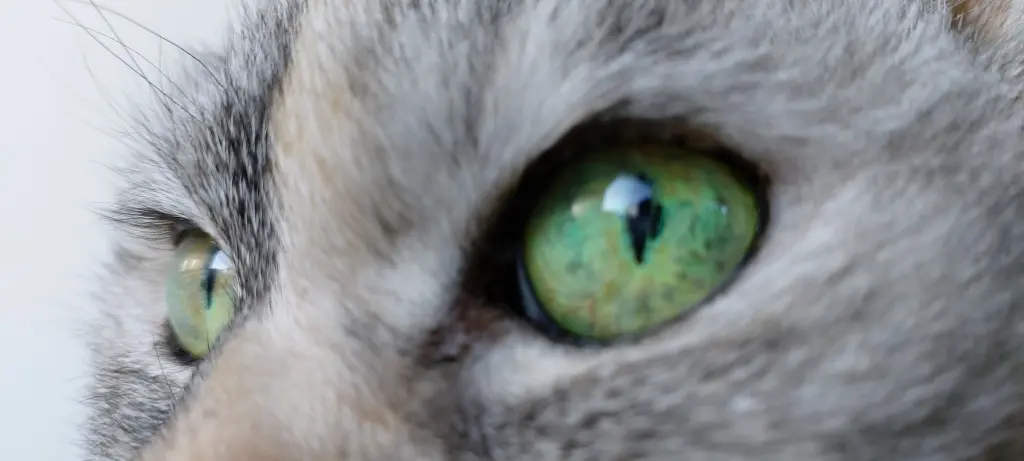 Andachtsbild von Für Pooh ♥️