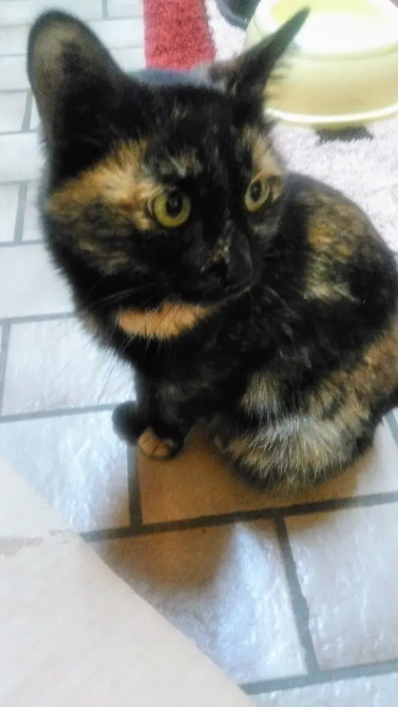 Andachtsbild von Ingrid mit Vini im Herzen