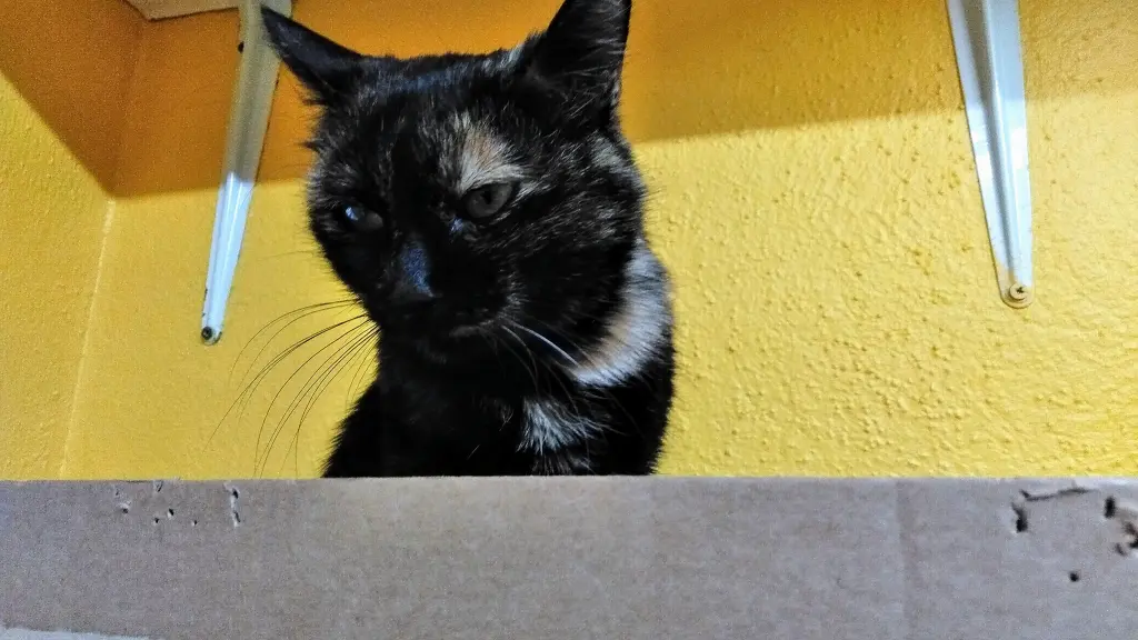 Andachtsbild von Ingrid mit Vini im Herzen