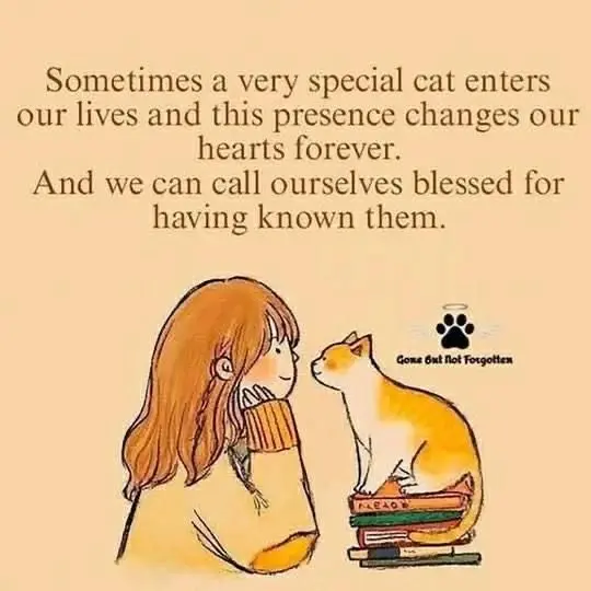 Andachtsbild von Black Friday 