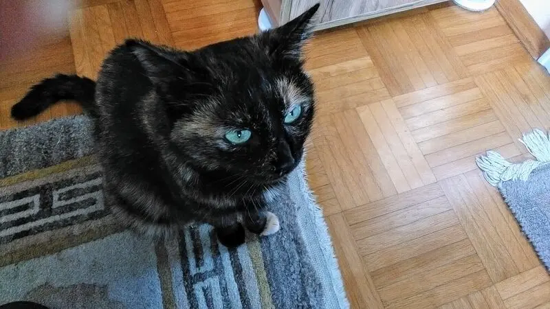 Andachtsbild von Ingrid mit Vini im Herzen