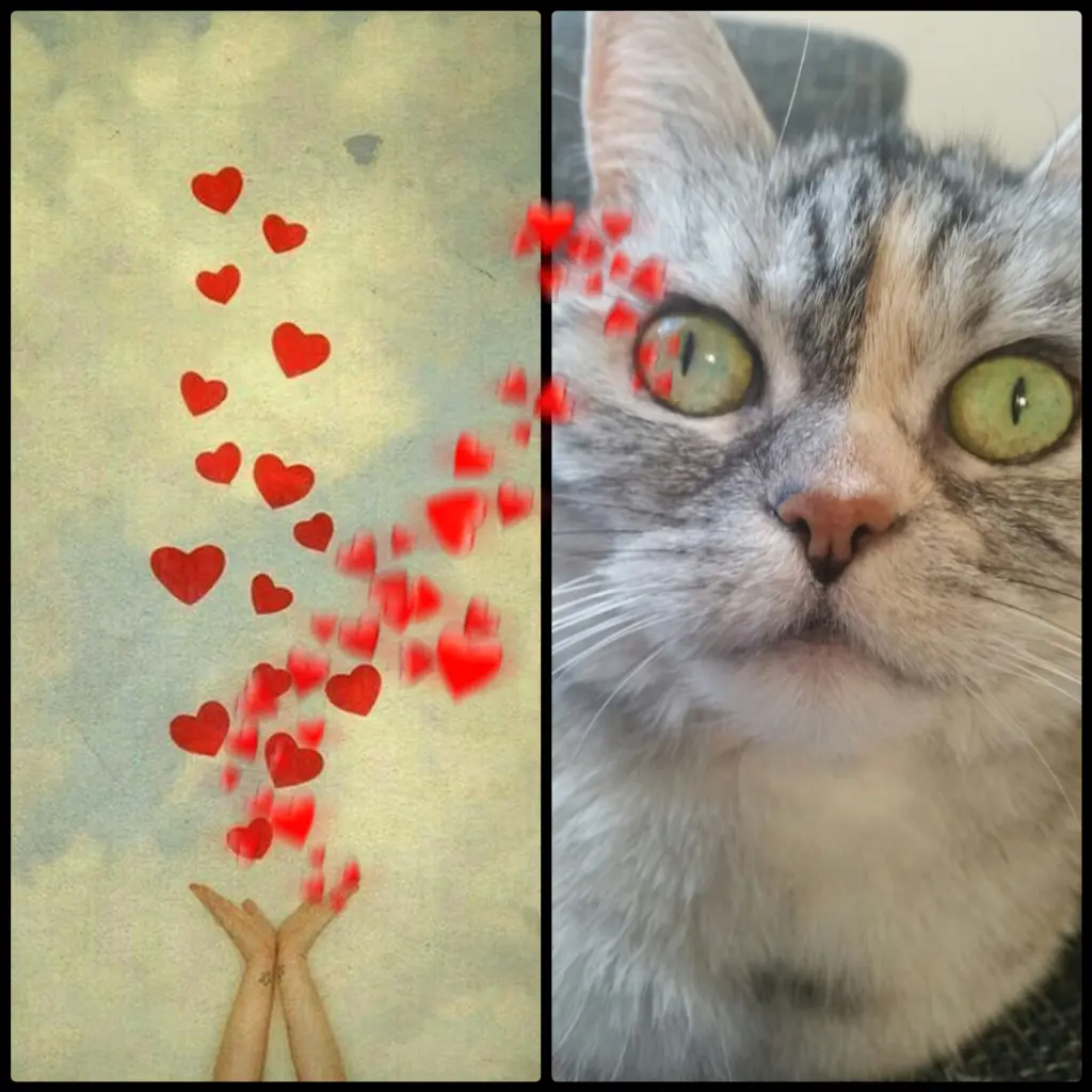 Andachtsbild von Black Friday 