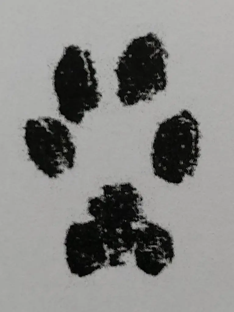 Andachtsbild von Black Friday 